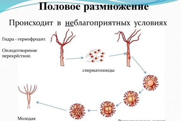 Вход в кракен даркнет
