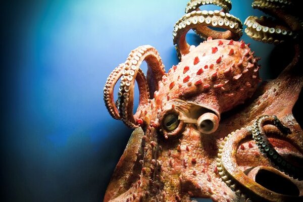 Кракен официальный сайт krakens13 at