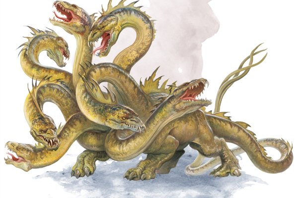 Kraken darknet to run