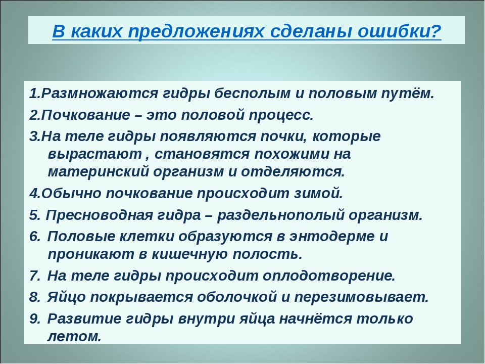 Кракен найти сайт